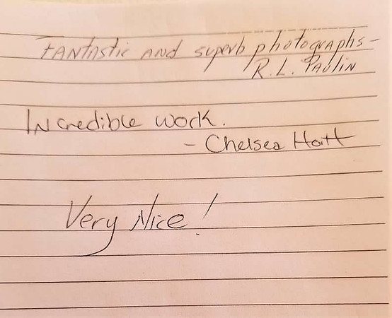 guest book 2