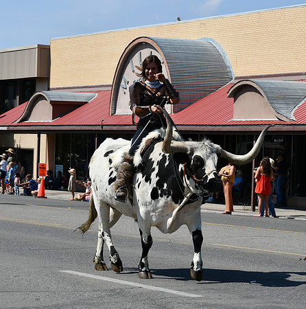 A Different Type of Bull Riding Parade 4_7091