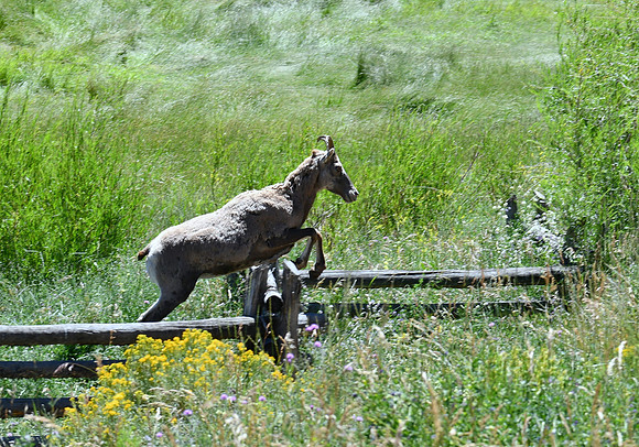 No Barriers_0210