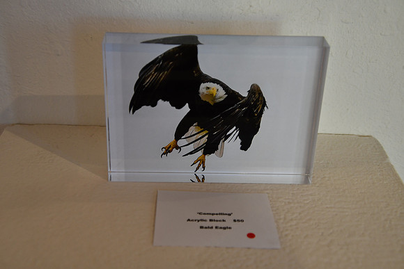 "Compelling" image in an Acrylic Block_6719