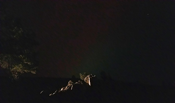 Rocks and Trees with Auroras in the sky_203311