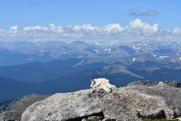 Big Sky_8691