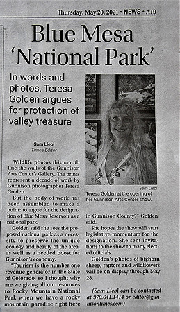 Newspaper Write Up _3725