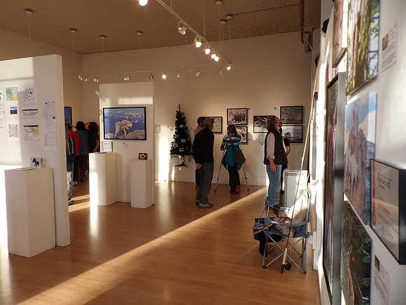 Gallery Guests  6  100_8310
