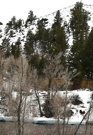 Over the Gunnison River_2630