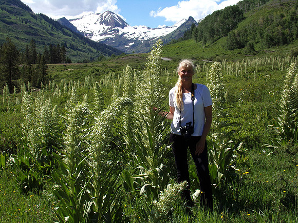 Slate River Road Monument Flower Field_0498