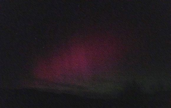 Purple Hues_195241