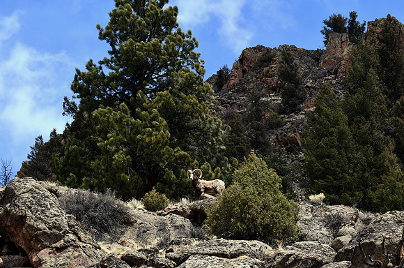 King of the Mountain_0092