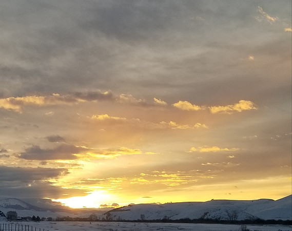20250217_090210