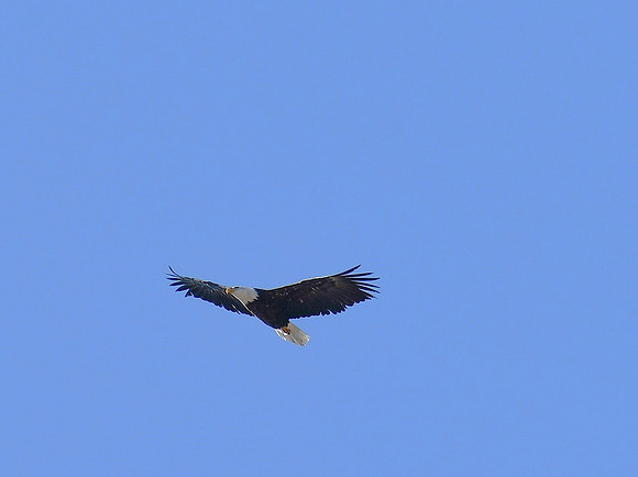 Great Heights_3172