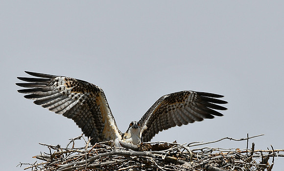 Look!_6321