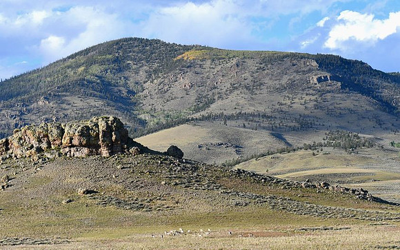 Pronghorn Territory