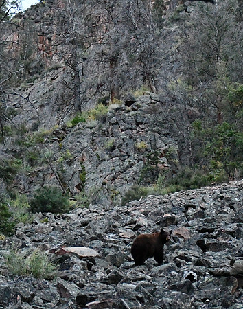 Boulder Climbing_7370