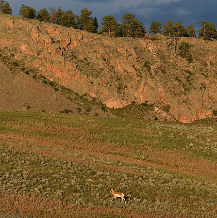 Sagebrush Valley below the Cliffs