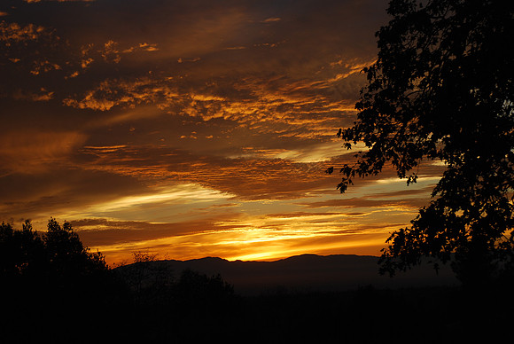 Golden Paradise, 201